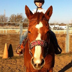 Dal Porto Show Horses & Riding Academy