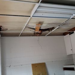 Structure & Site Inspection Services - Collapsing ceiling discovered after I began pulling down ceiling tiles.