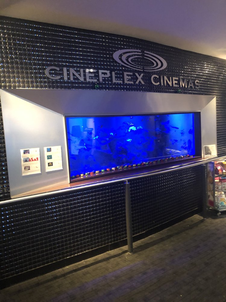 Cineplex Cinemas Varsity and VIP 40 Photos & 99 Reviews Cinema 55