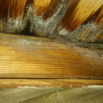 Waynco Roofing - Roofing Near Me - Matthews, North Carolina