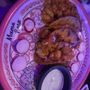 Photo of Mama Rosa Restaurant
