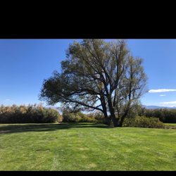 Mono Lake Park