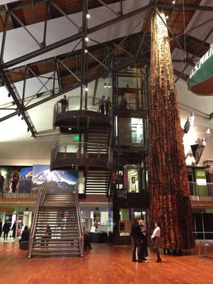 Museum of History & Industry (MOHAI) by null