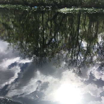 Sea Serpent Tour - Boat Tours Near Me - Saint Augustine, Florida
