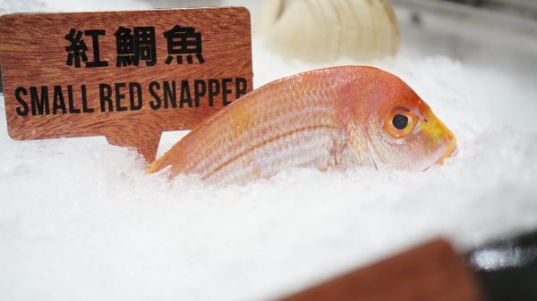 Yu Seafood by null