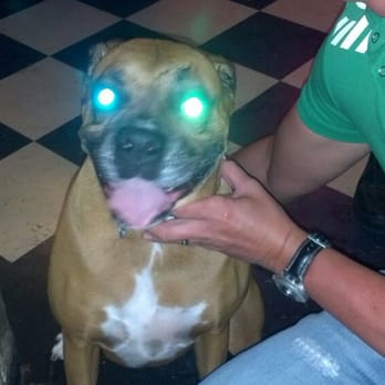 Monas - Happy Halloween from Breezy! - Gay Bars Near Me - Fort Lauderdale, Florida
