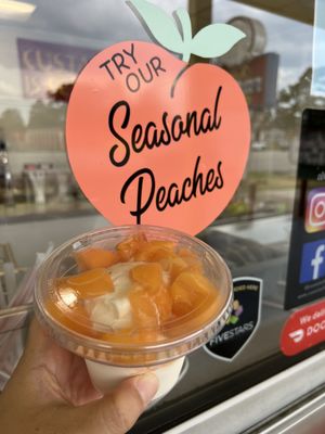 Connie's Frozen Custard by null