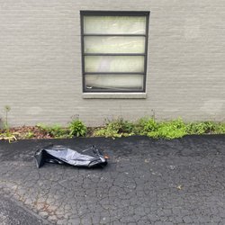 Beauty & Beast Trucking - Before weeds and old plants that customer wanted replaced