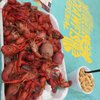 Zydeco and Crawfish Festival gift card