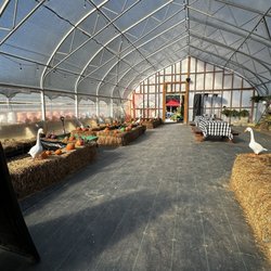 Grasshopper Farms NC