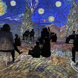 Immersive Van Gogh Exhibit Columbus - Starry Night