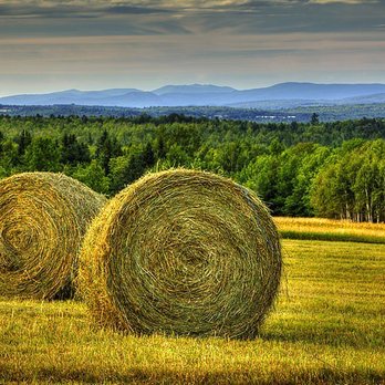 Western Plains Geomatics - Westernplains.ca - Land Surveying Near Me - Calgary, Alberta Western Plains Geomatics - Westernplains.ca - Land Surveying Near Me - Calgary, Alberta