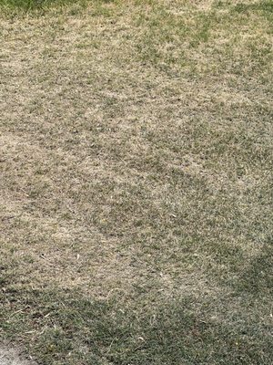Escena Golf Club by null