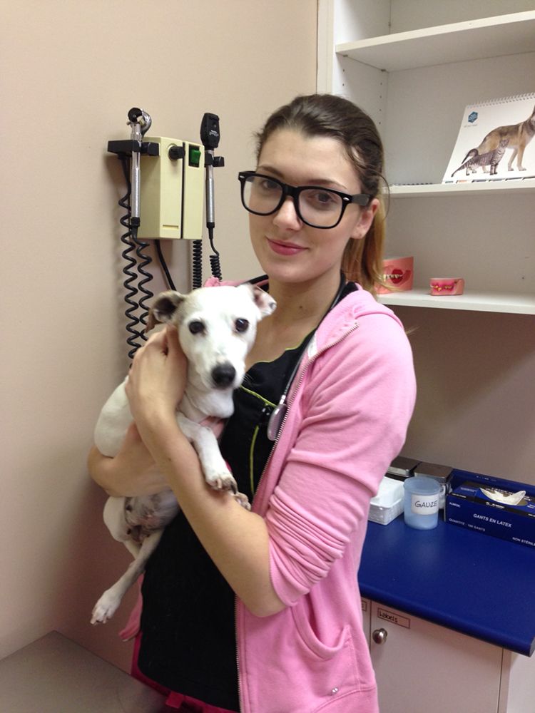 WESTGATE ANIMAL HOSPITAL Updated October 2024 65020395 Lougheed