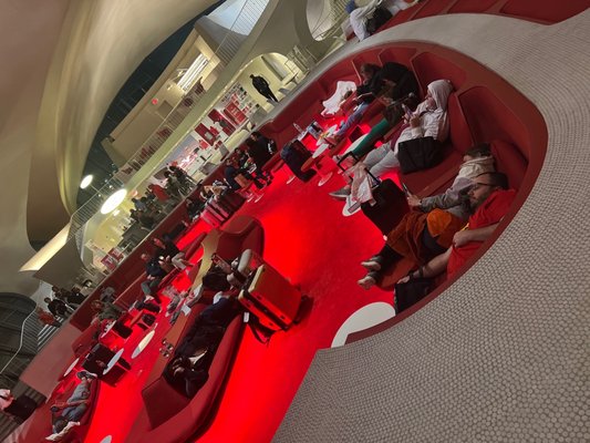 JetBlue Airways by null