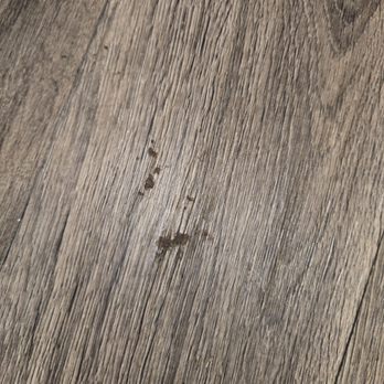 Trustworthy Cleaning Services - Dirty floor after being mopped - Home Cleaning Near Me - Austin, Texas