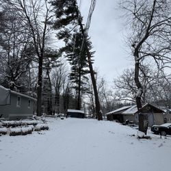 Clark’s Tree Services - Large pine tree leaning