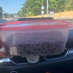 Blueberries Blueberries