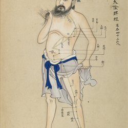 Knotted Root Acupuncture
