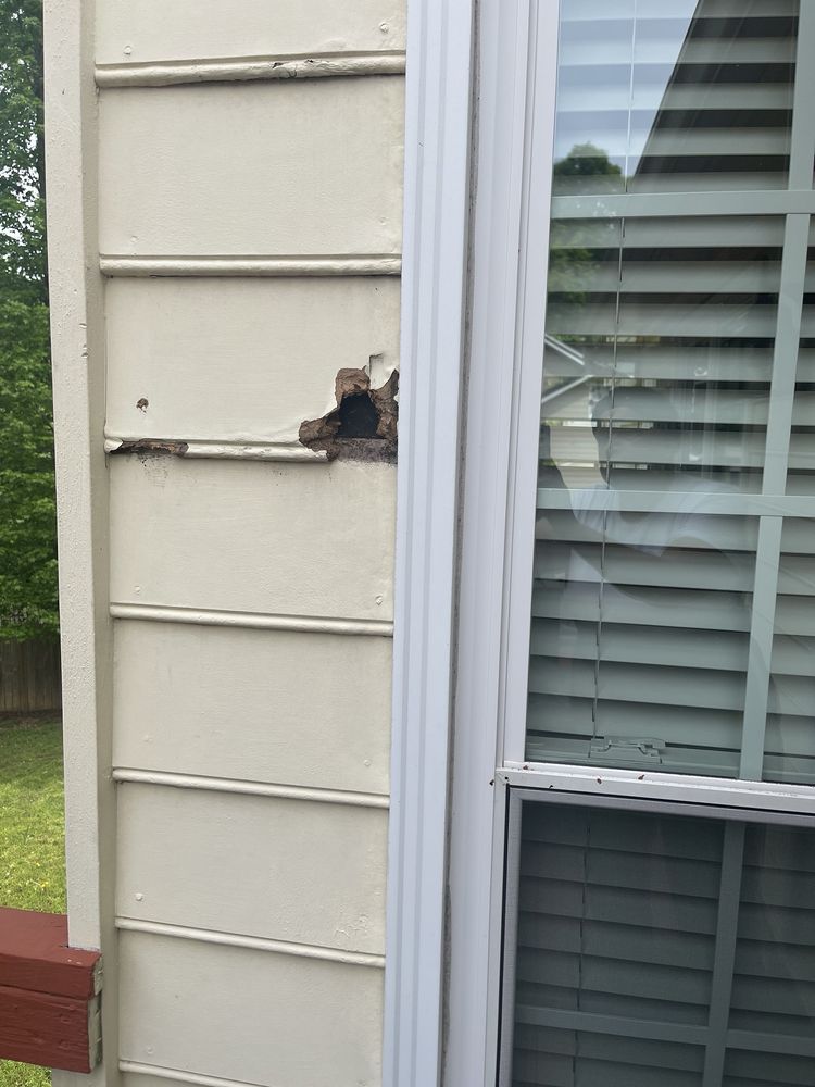 Slide of Shepp's Residential and Commercial Maintenance Repairs