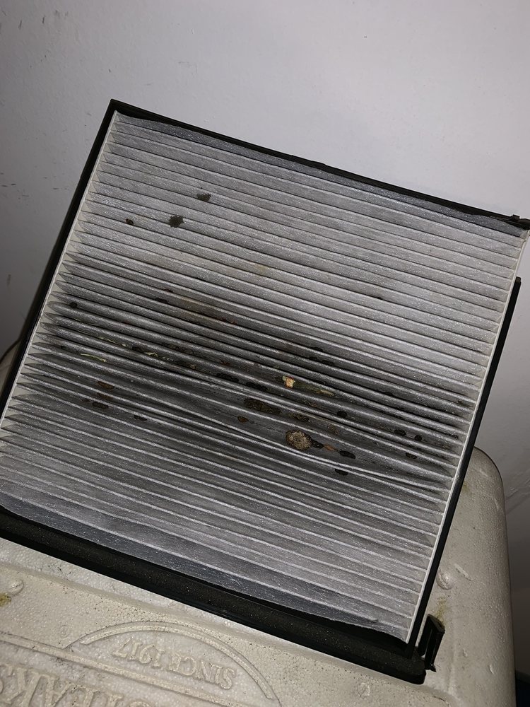 KEYES HONDA WOODLAND HILLS SERVICE CENTER 24 Photos & 115 Reviews