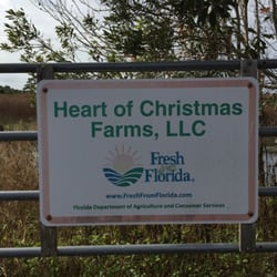 Heart of Christmas Farms - Local produce!