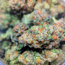 Aspen Roaring Fork Wellness - The White x Cinderella 99