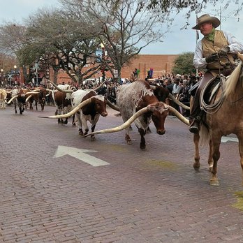 The Stockyards - Local Flavor Near Me - Fort Worth, Texas The Stockyards - Local Flavor Near Me - Fort Worth, Texas
