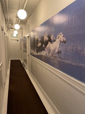 Ace Hotel Seattle by null