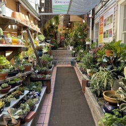 Growing Grounds Downtown - So many choices