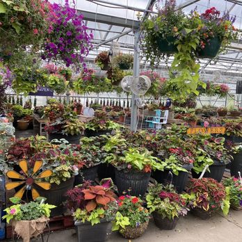 Windy Acres Farm - Summer flowers, annuals. - Pumpkin Patches Near Me - Geneva, Illinois