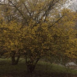 Schloßpark Herten
