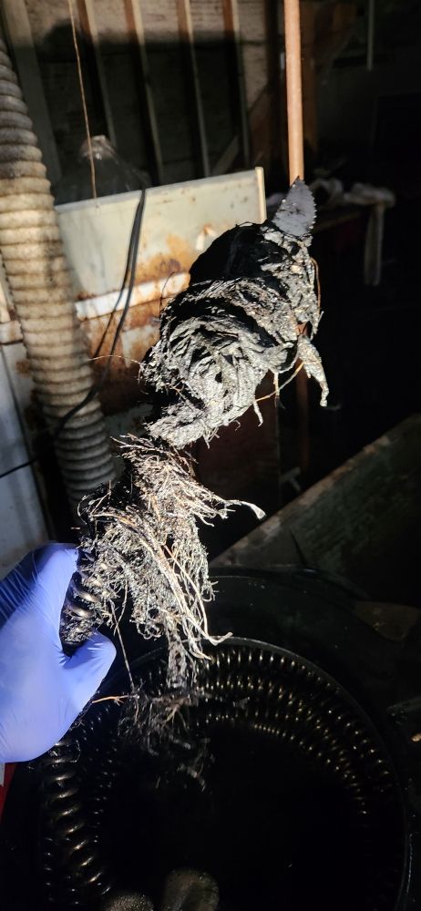 Slide of Hero's Drain Care