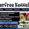 Kerfree Kennels gift card