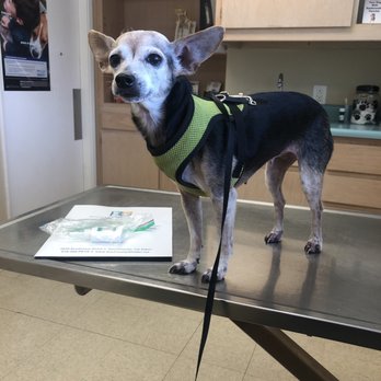 Vineyard Veterinary Hospital - Clean room - Veterinarians Near Me - Lockeford, California Vineyard Veterinary Hospital - Clean room - Veterinarians Near Me - Lockeford, California