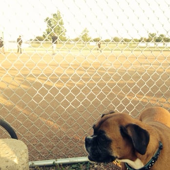 Calgary Industrial Softball Association - Sports Clubs Near Me - Calgary, Alberta Calgary Industrial Softball Association - Sports Clubs Near Me - Calgary, Alberta