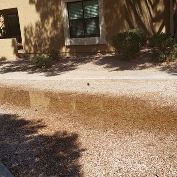 The Osselaer Company - Raw sewage in courtyard. Not roped off. - Property Management Near Me - Phoenix, Arizona The Osselaer Company - Raw sewage in courtyard. Not roped off. - Property Management Near Me - Phoenix, Arizona