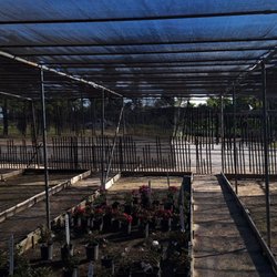 Nuccio's Nurseries - February 2026