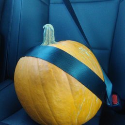 Pumpkin nice size $14 Pumpkin nice size $14