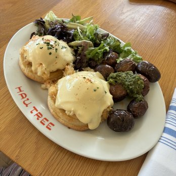 Hau Tree - Snow crab Benedict - Seafood Near Me - Honolulu, Hawaii