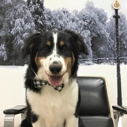 My boy Charlie . My boy Charlie .