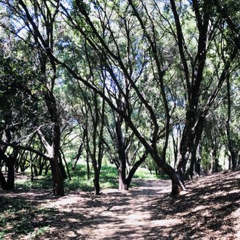 Lodi Lake Tours - Trail - Boat Tours Near Me - Lodi, California