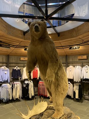 Holmenkollen Ski Museum by null