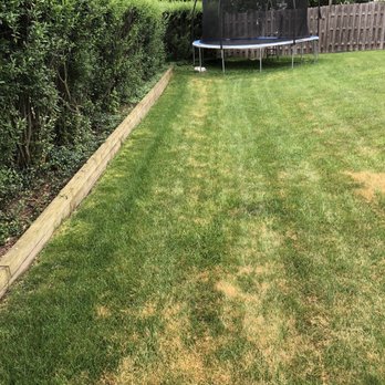 SpringGreen - Wow!  Thanks for killing my grass - Pest Control Near Me - Wauconda, Illinois