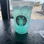 Photo of Sugar Llamas