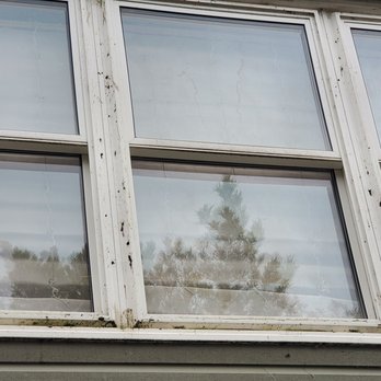 Clearly The Cleanest - Window Washing Near Me Clearly The Cleanest - Window Washing Near Me