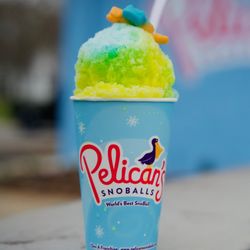 Pelican’s Snowballs - Frogger