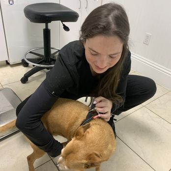 Calusa Veterinary Center - Bori's nurse Elizabeth bonding. Mmm - Veterinarians Near Me - Boca Raton, Florida