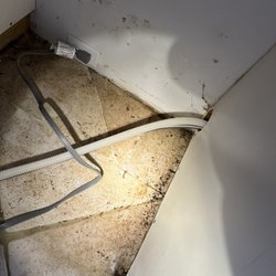 Powerhouse Plumbing Solutions - Leak under dishwasher