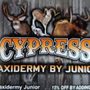 Photo of Cypress Taxidermy By Jr